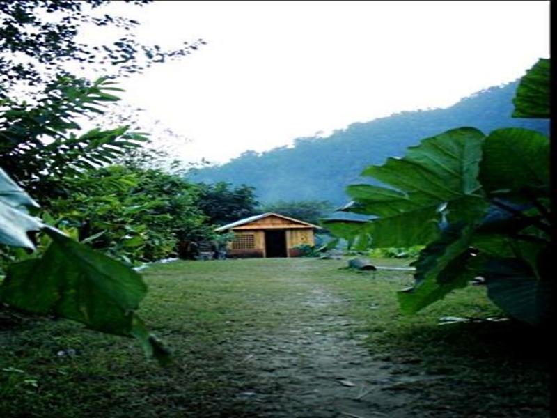 Elephant Brook Resort Rishīkesh Εξωτερικό φωτογραφία